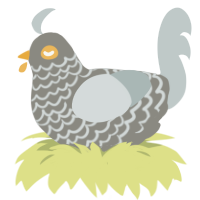 Pigeon, a ash and silver chicken with a lace pattern