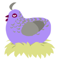 太鸡 Tai Ji, a lilac and ash chicken with a half-lace pattern