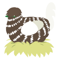 Barked, a bark and white chicken with a bar pattern