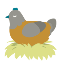 A gold and ash chicken with a head pattern