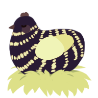 Flickering Light, a navy and lemon chicken with a bar pattern