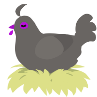 A grey chicken