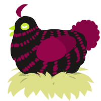 A sable and maroon chicken with a bar pattern