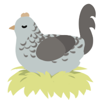 A silver and grey chicken with a half-lace pattern