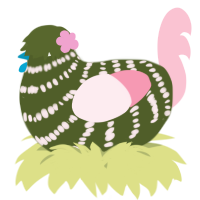A olive and rose chicken with a bar pattern