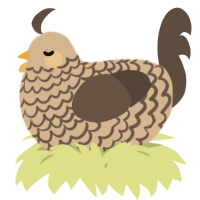 A beige and bark chicken with a lace pattern