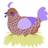 A brown and lilac chicken with a lace pattern