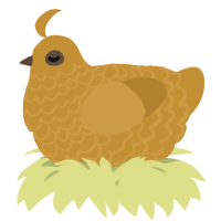 A gold chicken with a lace pattern