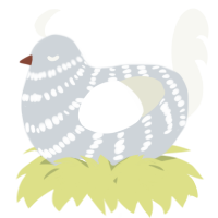 A mist and white chicken with a bar pattern