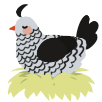 A mist and sable chicken with a lace pattern