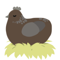 A bark and grey chicken with a neck-speckle pattern