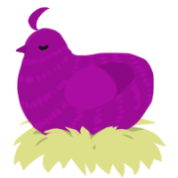 A plum chicken with a bar pattern