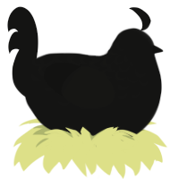 A black chicken with a half-lace pattern