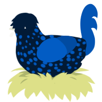 A tumblr and ultramarine chicken with a speckle pattern