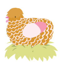 A orange and rose chicken with a lace pattern