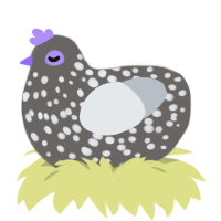 Thing 1, a grey and mist chicken with a speckle pattern