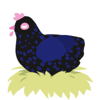 A sable and navy chicken with a speckle pattern