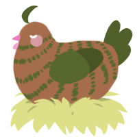 A brown and olive chicken with a bar pattern