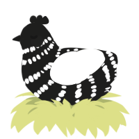 A sable and white chicken with a bar pattern