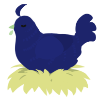 A navy chicken with a half-bar pattern