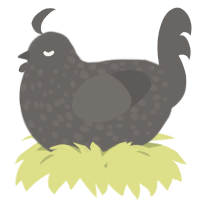 A grey chicken with a speckle pattern