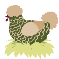 A olive and beige chicken with a lace pattern
