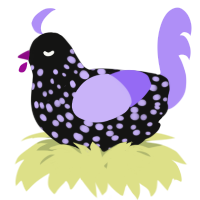 A black and lilac chicken with a speckle pattern