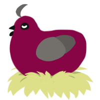 A maroon and grey chicken