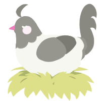 A white and ash chicken with a head pattern