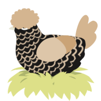 A sable and beige chicken with a lace pattern