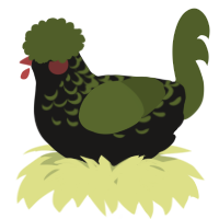 A sable and olive chicken with a half-lace pattern