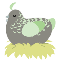 Poire, a ash and gluppy chicken with a half-lace pattern
