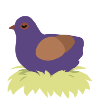 FACEBOOK bird, a overcast and brown chicken
