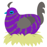 A violet and grey chicken with a bar pattern
