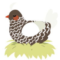 A bark and white chicken with a lace pattern