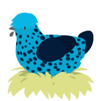 A cerulean and tumblr chicken with a speckle pattern