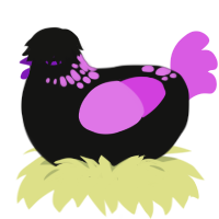 Rave, a black and orchid chicken with a neck-speckle pattern