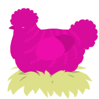 A fuchsia chicken with a half-bar pattern