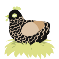 A black and beige chicken with a lace pattern