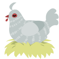 Your Clucky Day, a silver chicken with a bar pattern