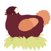 A spring and sea chicken