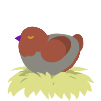 A ash and russet chicken with a head pattern