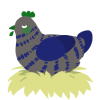 A grey and navy chicken with a bar pattern