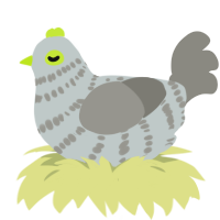 (unnamed), a silver and ash chicken with a bar pattern