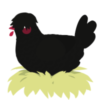 A black chicken with a lace pattern