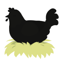 Collapse, a black chicken with a head pattern
