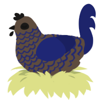 A bark and navy chicken with a lace pattern