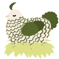 A cream and olive chicken with a lace pattern