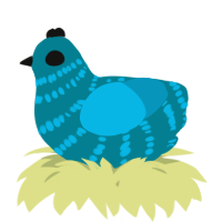 A sea and cerulean chicken with a bar pattern