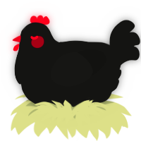 A black chicken
